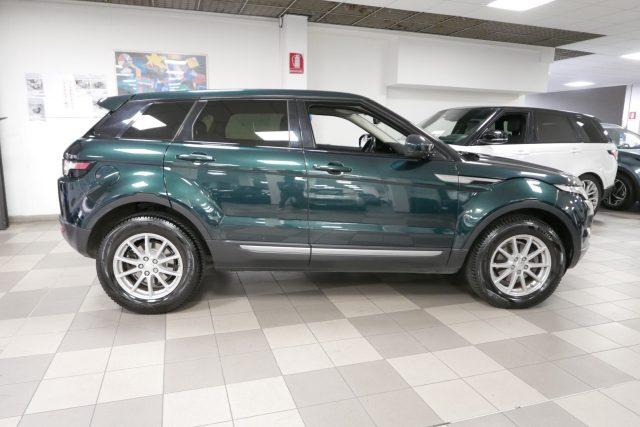 LAND ROVER Range Rover Evoque 2.2 TD4 5p. Automatica Pure
