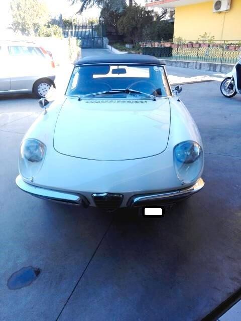 Alfa Romeo Spider 1750 osso di seppia