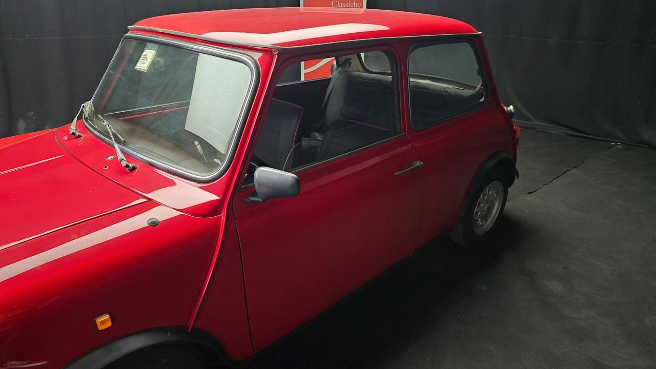 Mini 1000 HLE 1.0cc