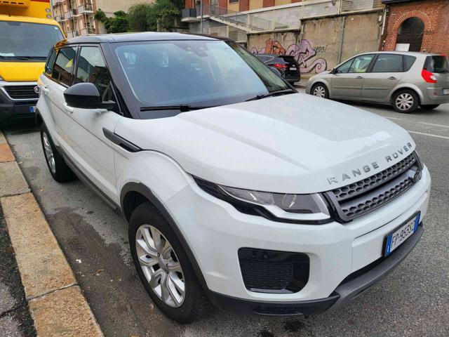 LAND ROVER Range Rover Evoque 2.0 eD4 5p. Business Edition Premium Pure