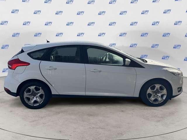 Ford Focus 5p 1.5 tdci Plus s&s 95cv