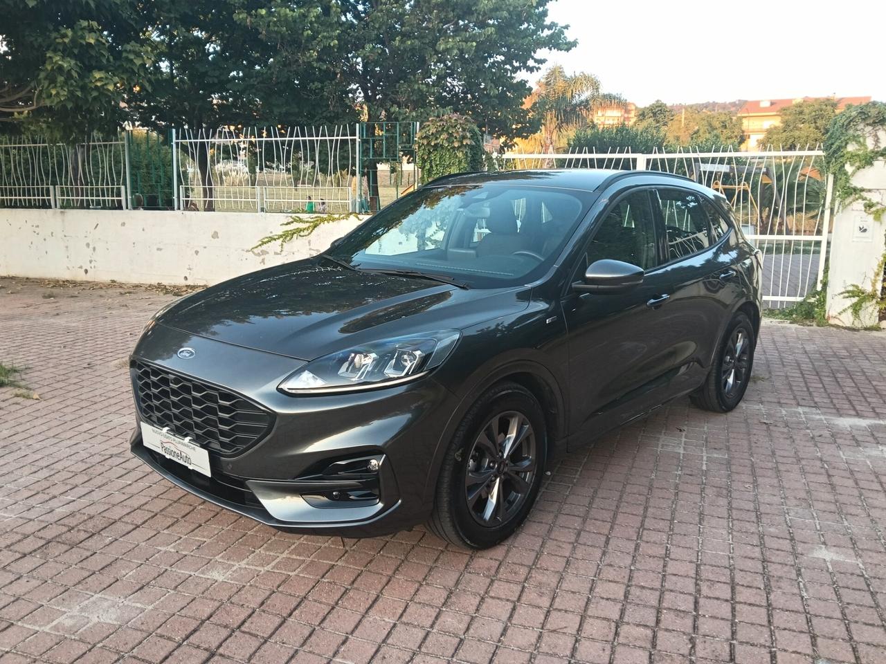 Ford Kuga 1.5 EcoBlue 120 CV 2WD ST-Line