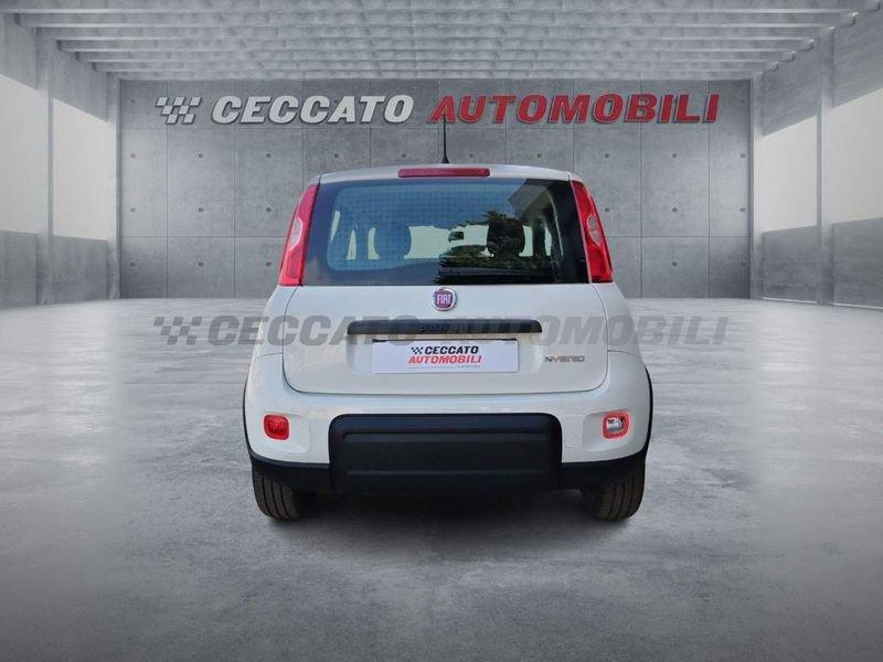 FIAT Panda Panda 1.0 firefly hybrid s&s 70cv