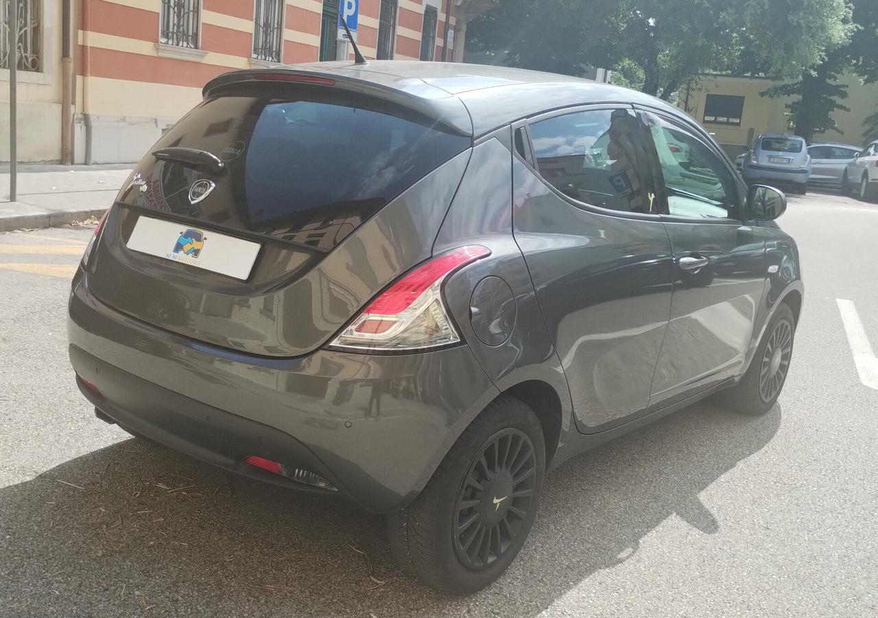 Lancia Ypsilon 1.2 69 CV 5 porte Elefantino NEOPATENTATI