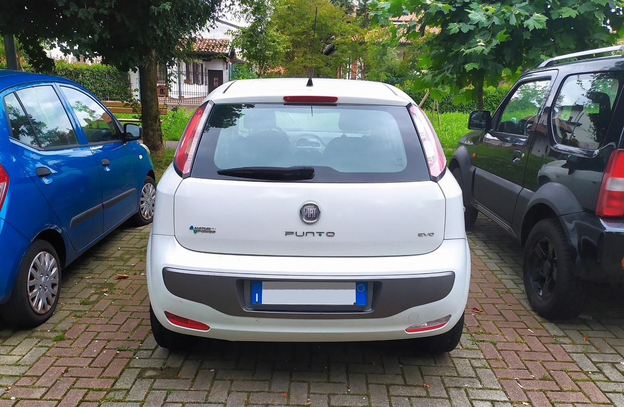 Fiat Punto Evo Punto Evo 1.4 5 porte Dynamic Natural Power