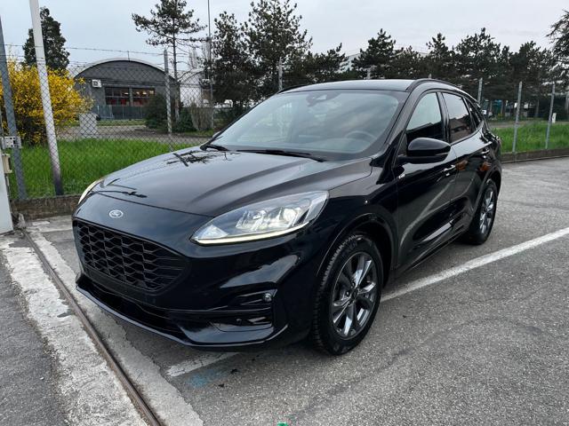 FORD Kuga 2.0 EcoBlue 120 CV aut. ST-Line