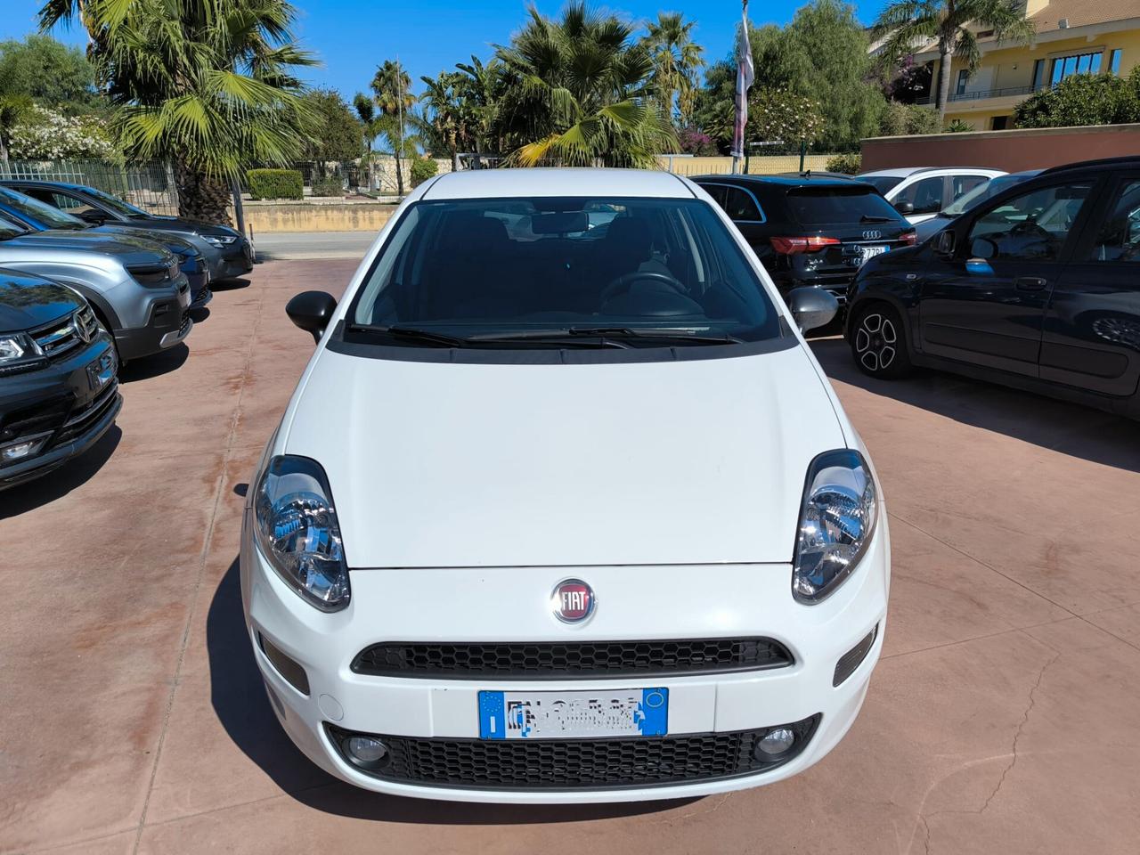 Fiat Punto 1.3 MJT II S&S 95 CV 5 porte Street