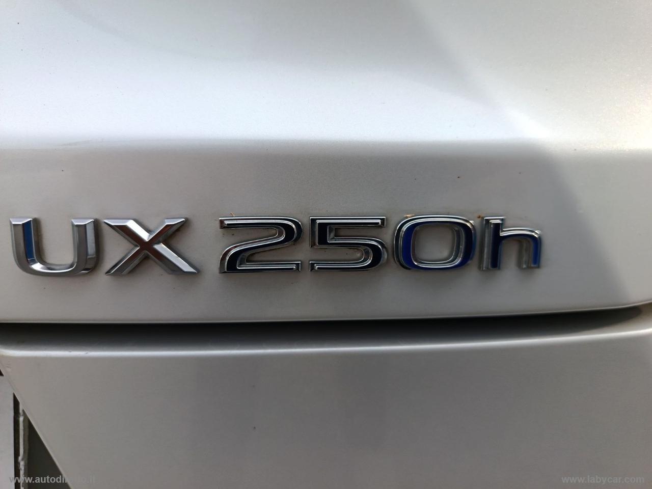 LEXUS UX 250H Hybrid Business