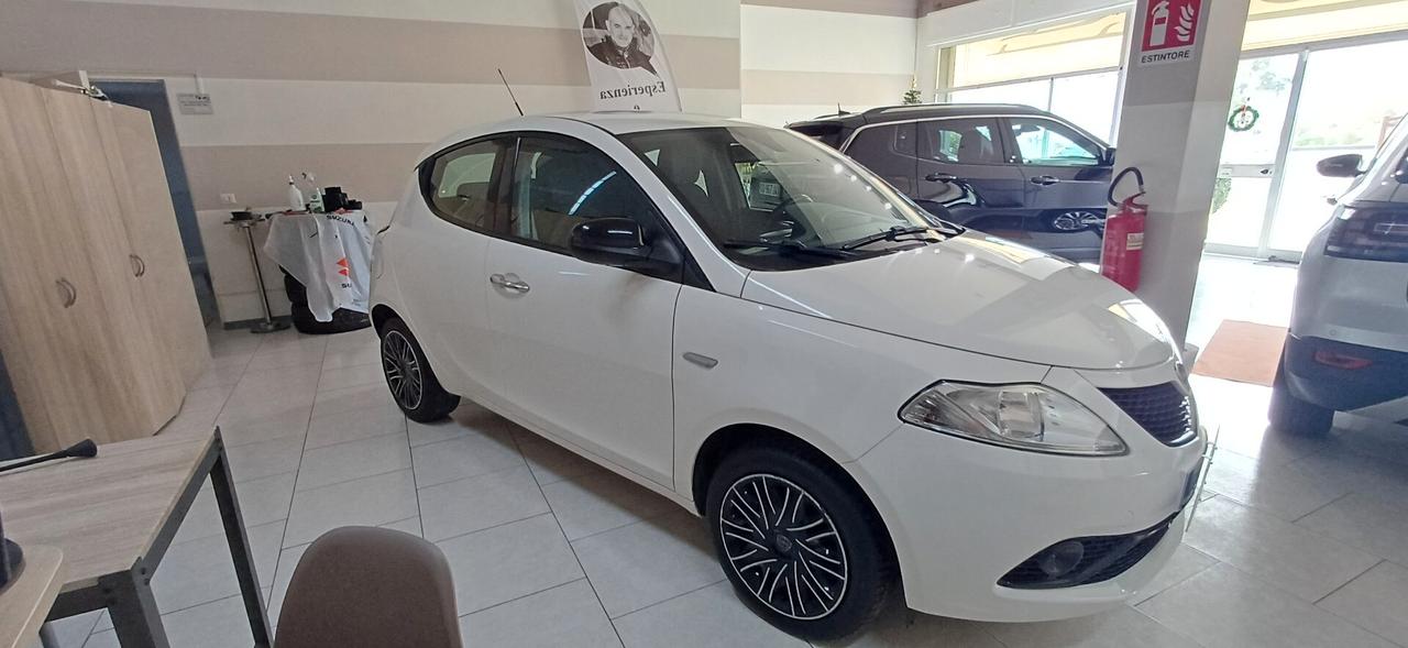 Lancia Ypsilon 1.2 69 CV 5 porte Gold