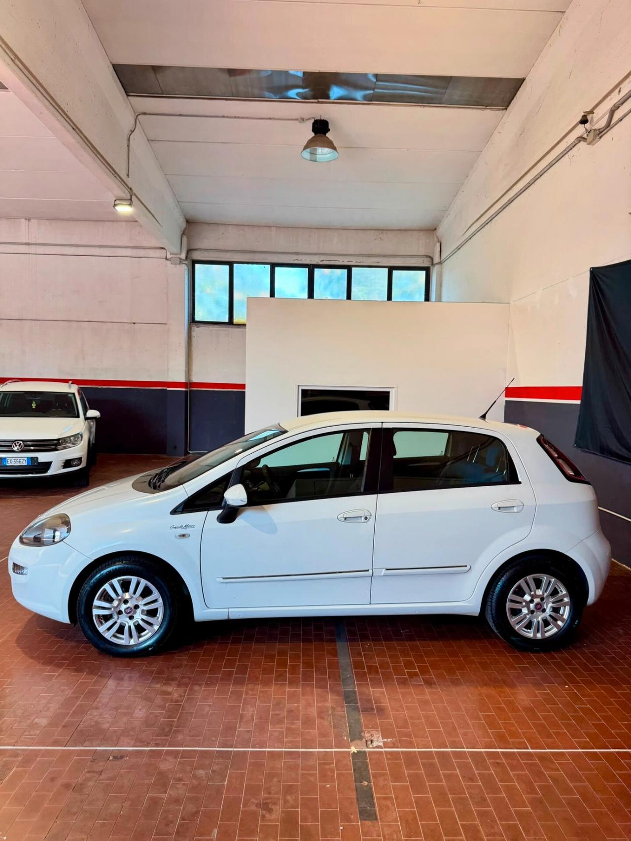 Fiat Punto Evo 1.3 Mjt 75 CV DPF 5 porte S&S Blue&Me
