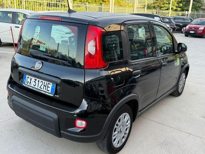FIAT Panda NEW 1.0 70cv Hybrid PANDA