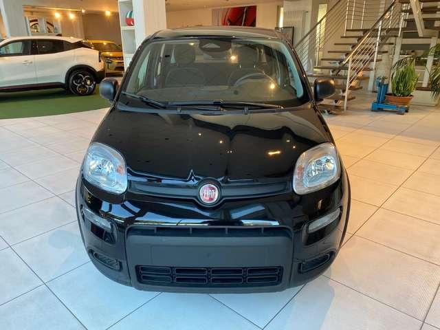 Fiat Panda Panda 1.0 firefly hybrid s