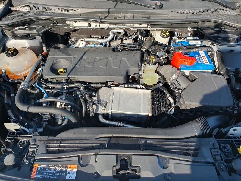 FORD NEW Kuga 2.0 EcoBlue 150CV MHEV LED NAV 8 CAM