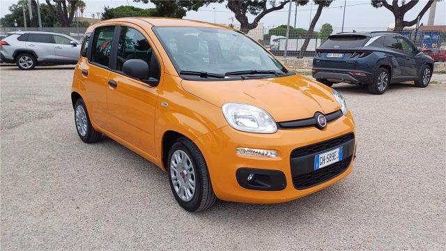 FIAT Panda 3ª serie 1.0 FireFly S&S Hybrid