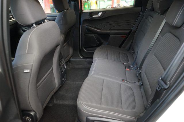 FORD Kuga 1.5 EcoBlue 120 CV 2WD Titanium Business