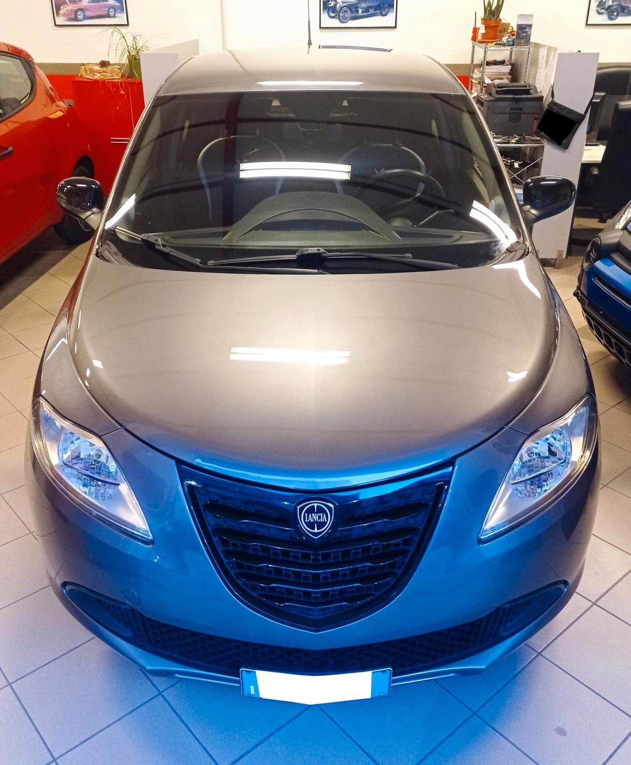 Lancia Ypsilon 1.2 69 CV 5 porte GPL Ecochic Elefantino