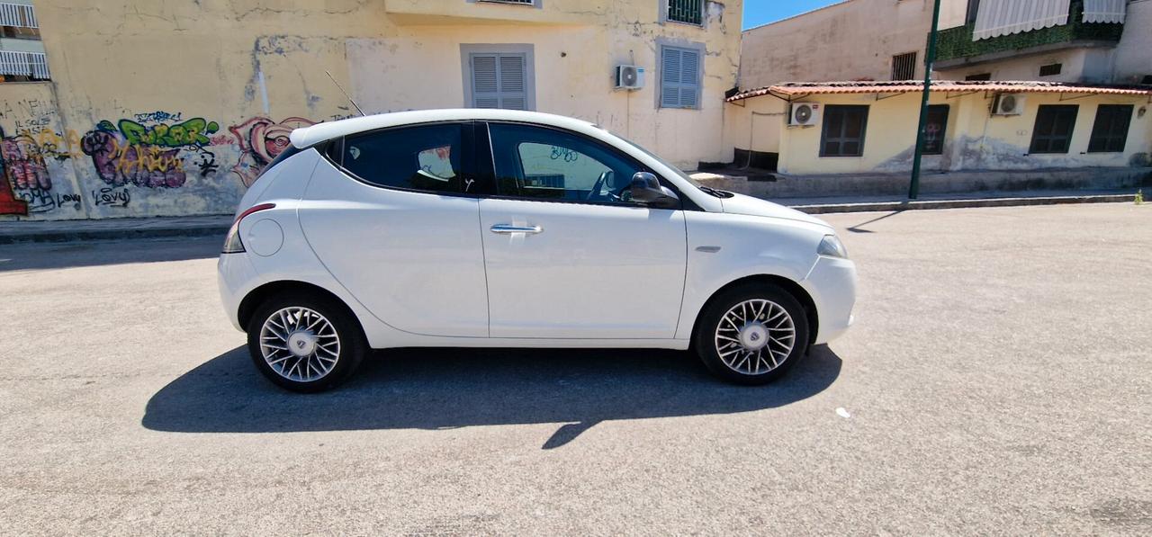 Lancia Ypsilon 1.3 MJT 16V 95 CV 5 porte S&S Platinum
