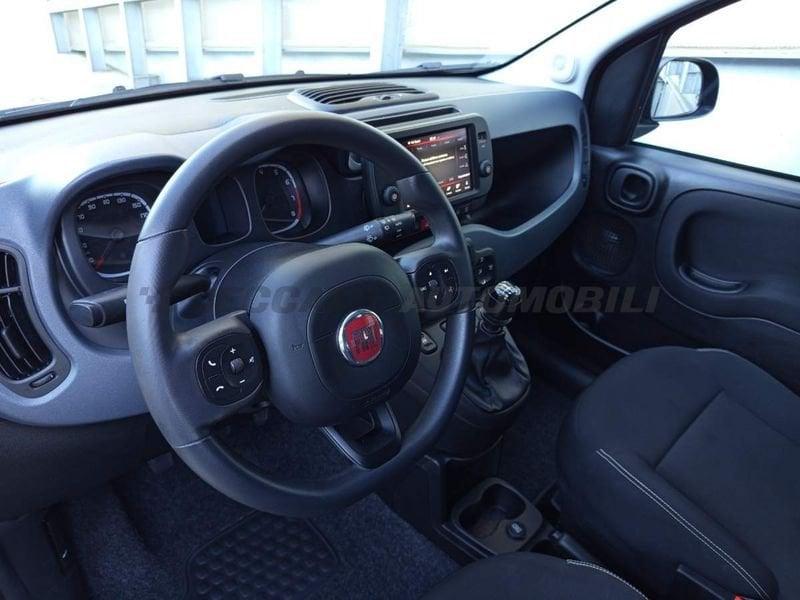 FIAT Panda Panda 1.0 firefly hybrid s&s 70cv 5p.ti