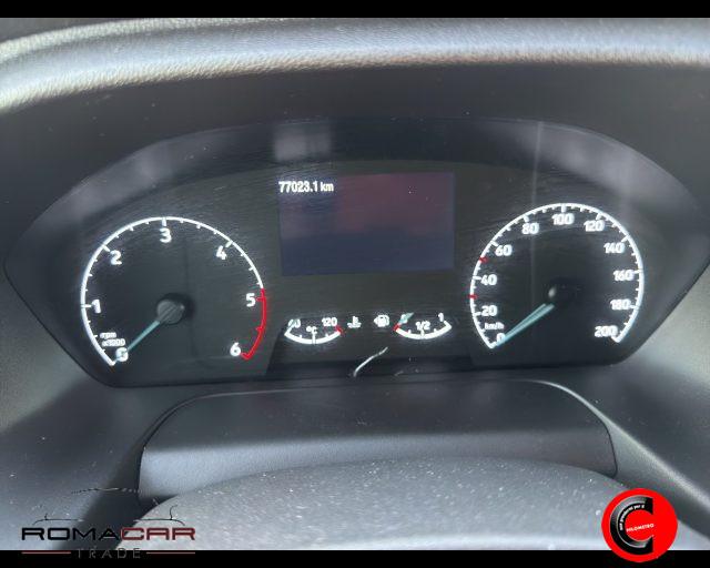 FORD Transit 350 2.0EcoBlue 130CV RWD PL-RG Cas.Rib.Tri.Trend