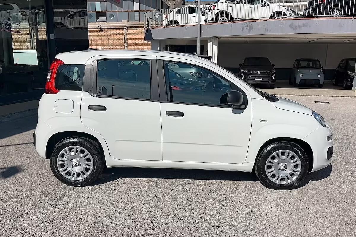 Fiat Panda 1.0 FireFly S&S Hybrid Pandina KM0