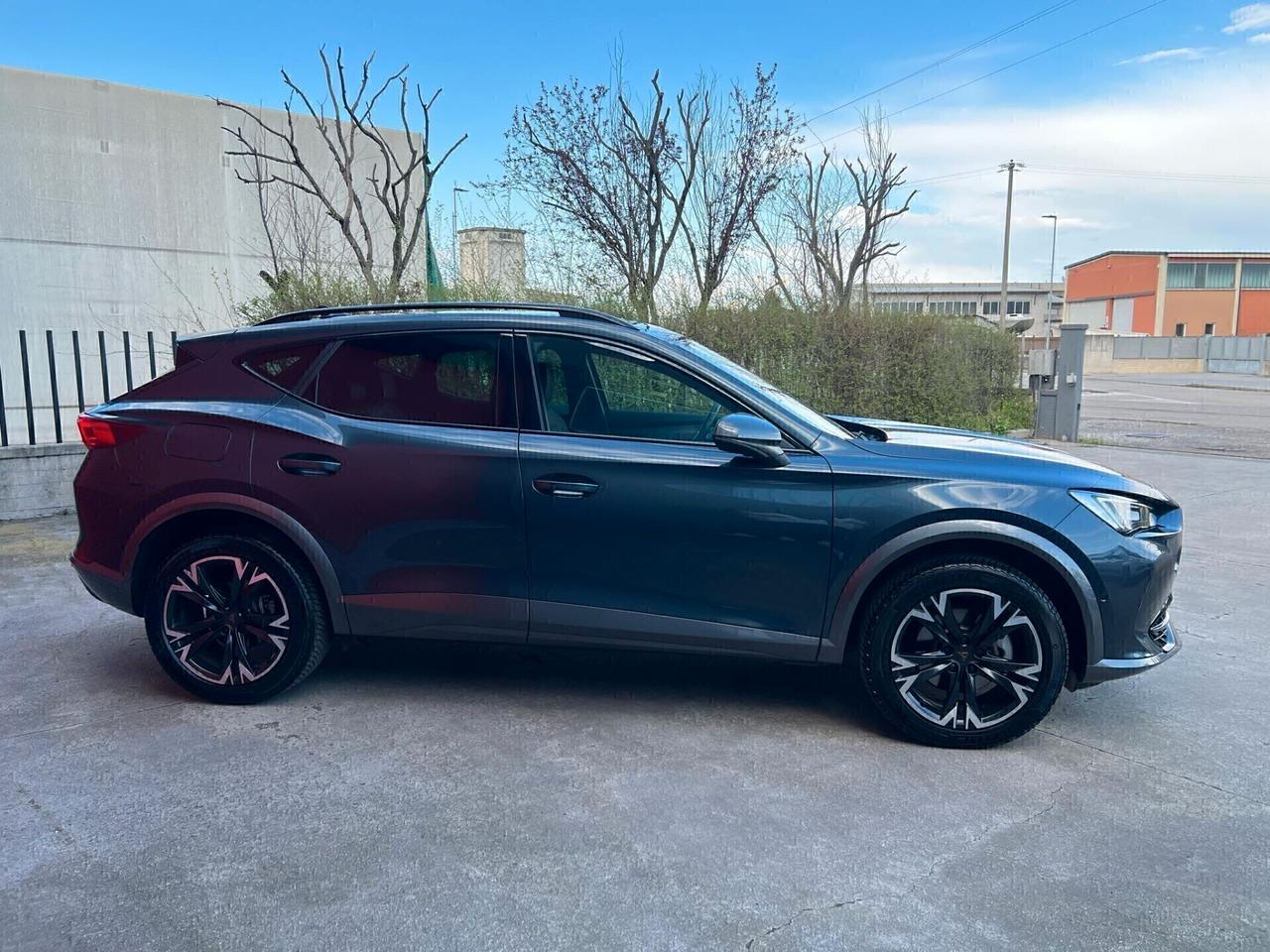 Cupra Formentor 2.0 TDI 4Drive DSG