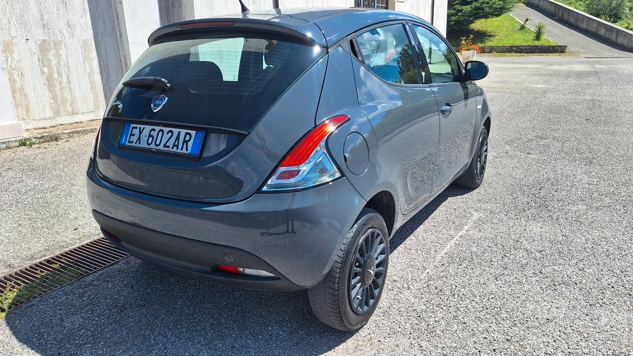 Lancia Ypsilon 0.9 TwinAir 85 CV 5 porte Metano Ecochic Elefantino