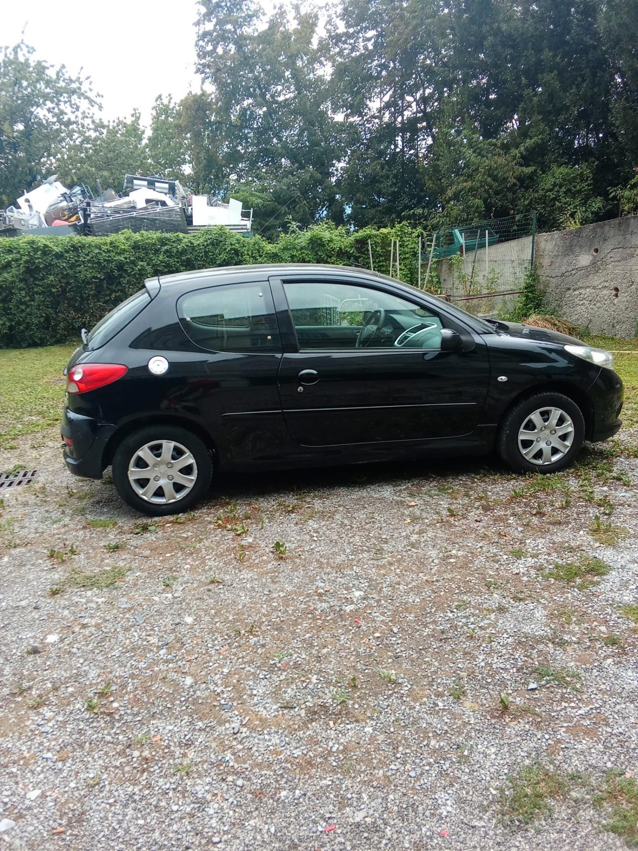 Peugeot 206 1100