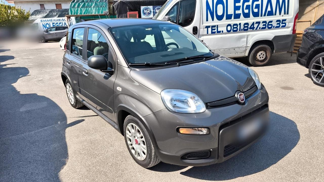 Fiat Panda 1.0 FireFly Hybrid City Life 2022 USATO