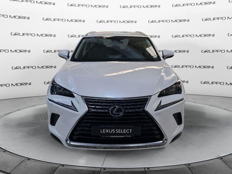 Lexus NX Hybrid 4WD Premium