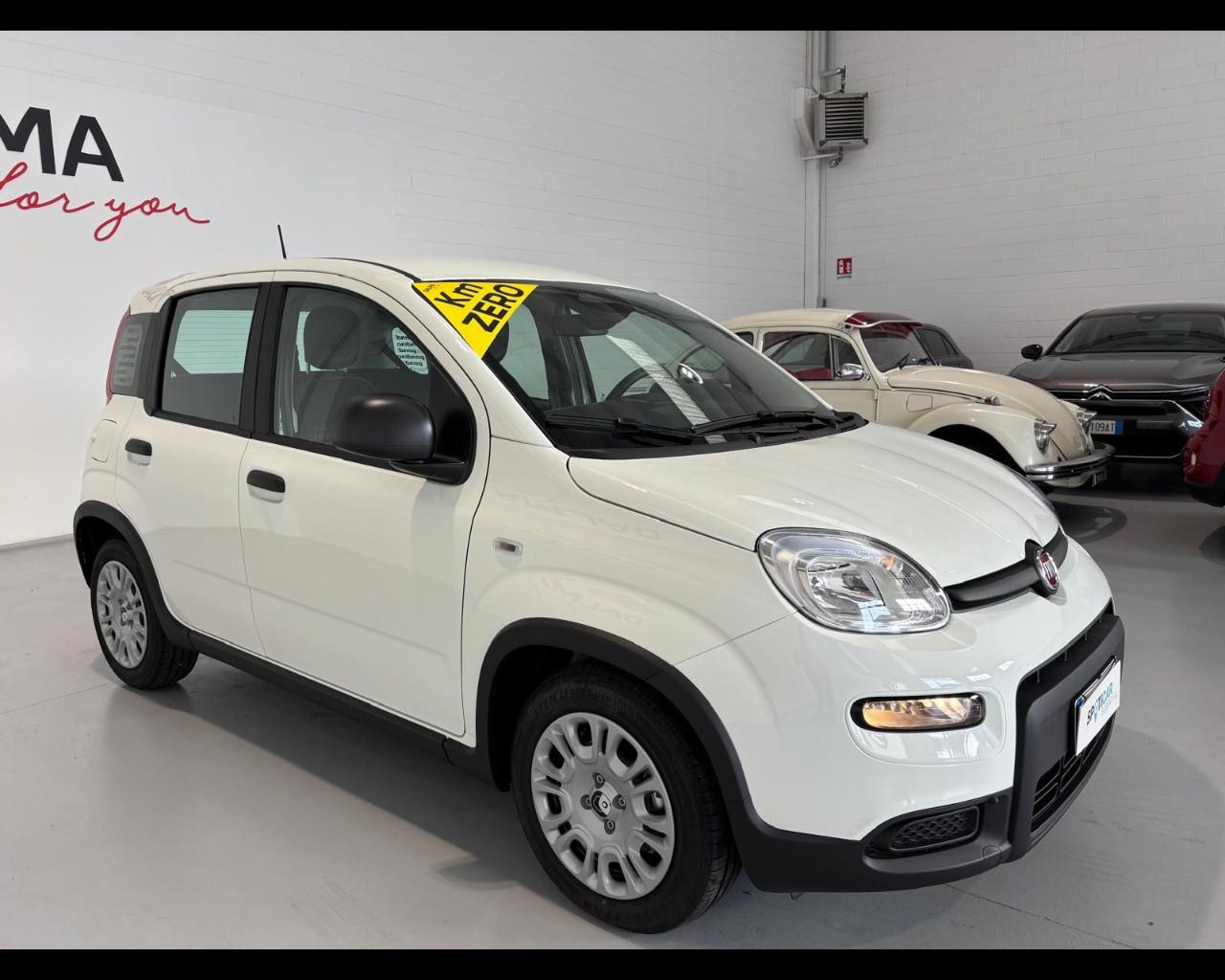 FIAT Pandina III 2024 - Pandina 1.0 firefly hybrid Pop s&s 70cv