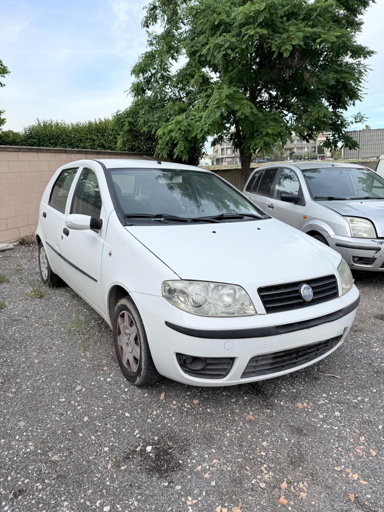 Fiat Punto 1.2 5 porte Actual