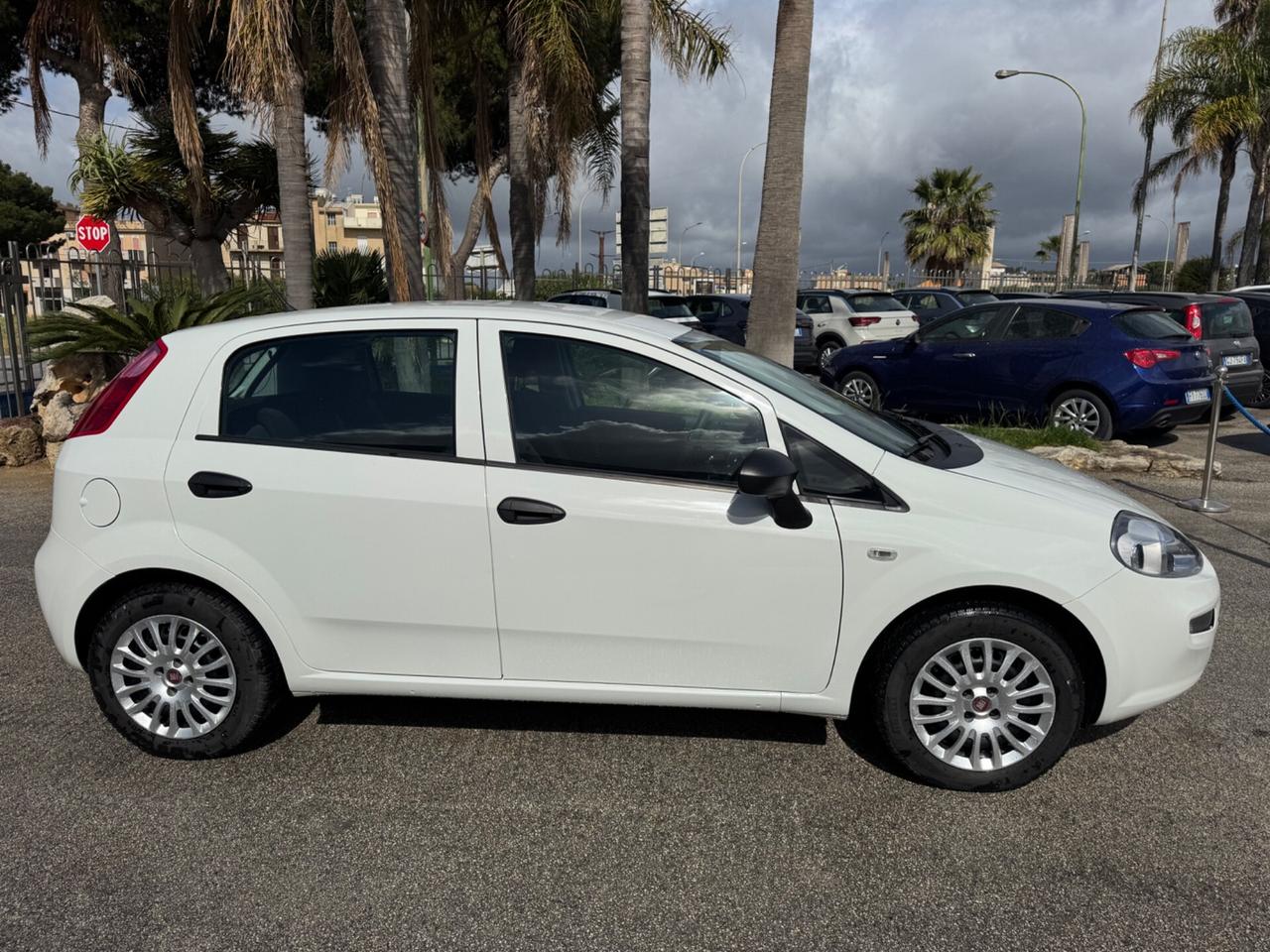 Fiat Punto 1.3 MJT II S&S 95 CV 5 porte Street