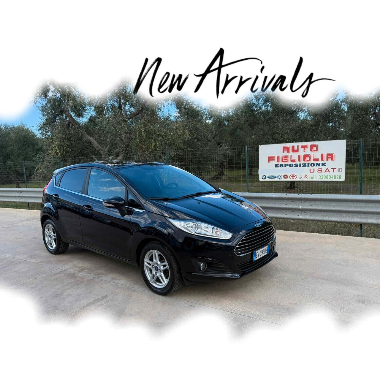 Ford Fiesta 1.4 5p. Bz.- GPL Titanium 163000KM 2013