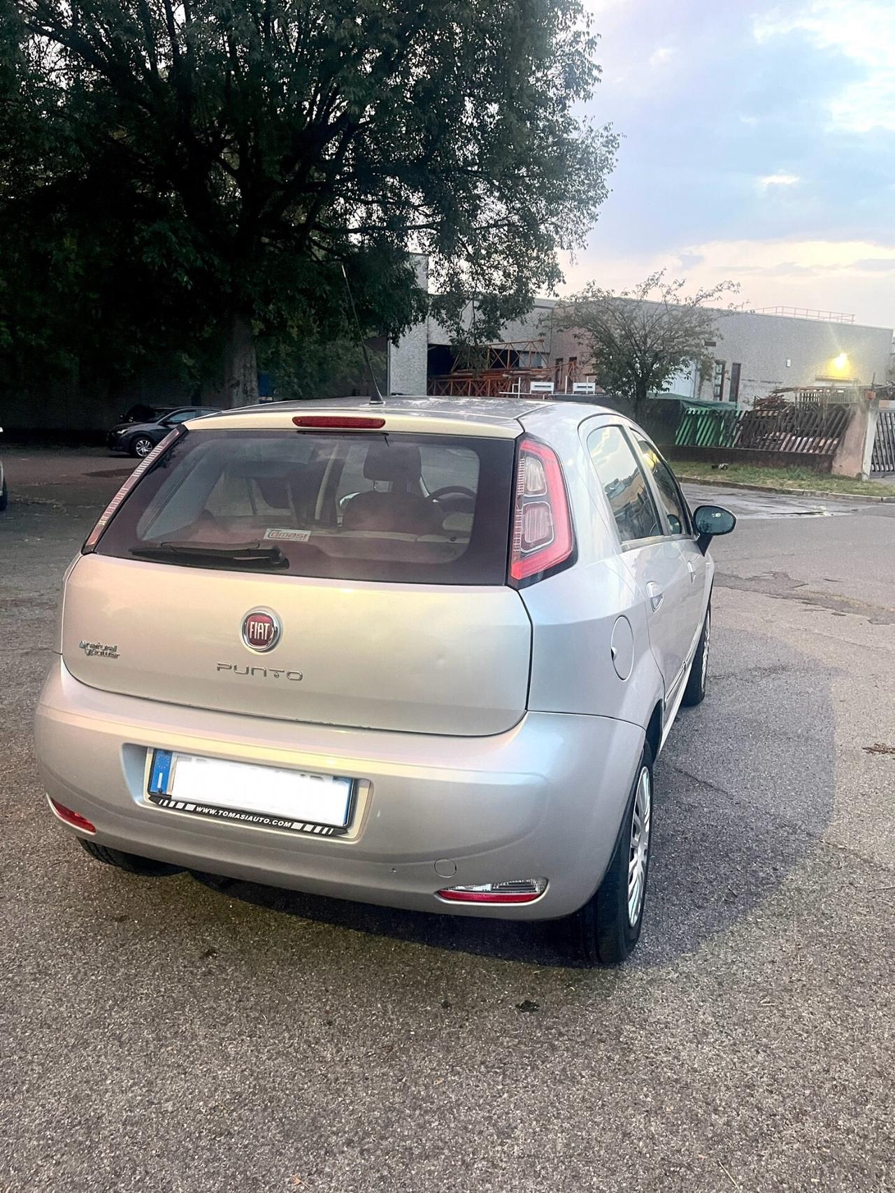 Fiat Punto 1.2 8V 5 porte Benzina-Metano 2013