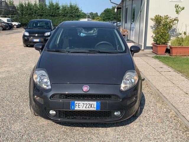 FIAT Punto 1.2 8V 5 porte Young