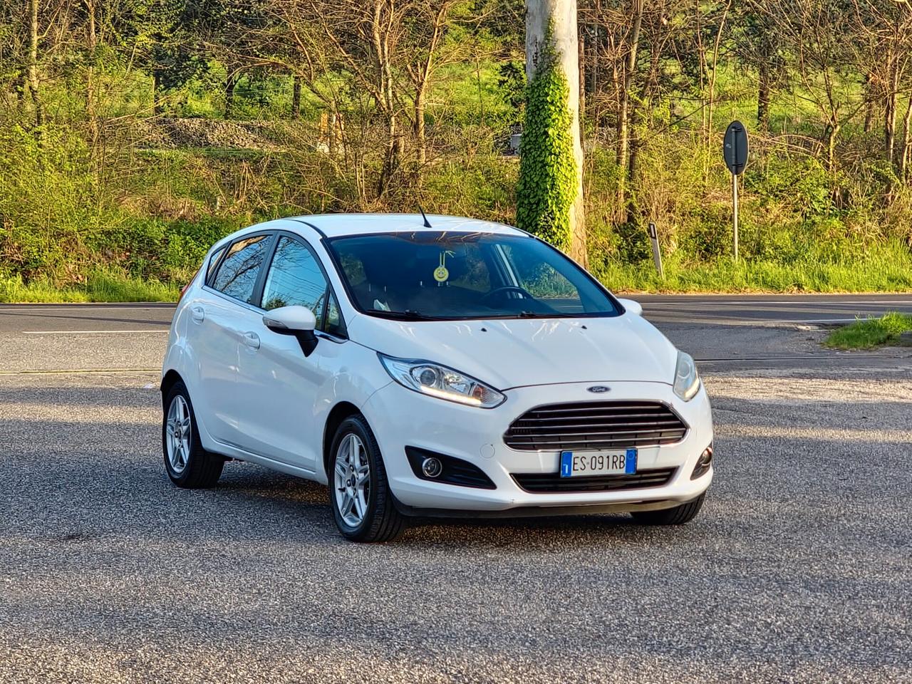 Ford Fiesta 1.0 EcoBoost 100CV 5 porte Titanium Benzina Manuale 2013 E5