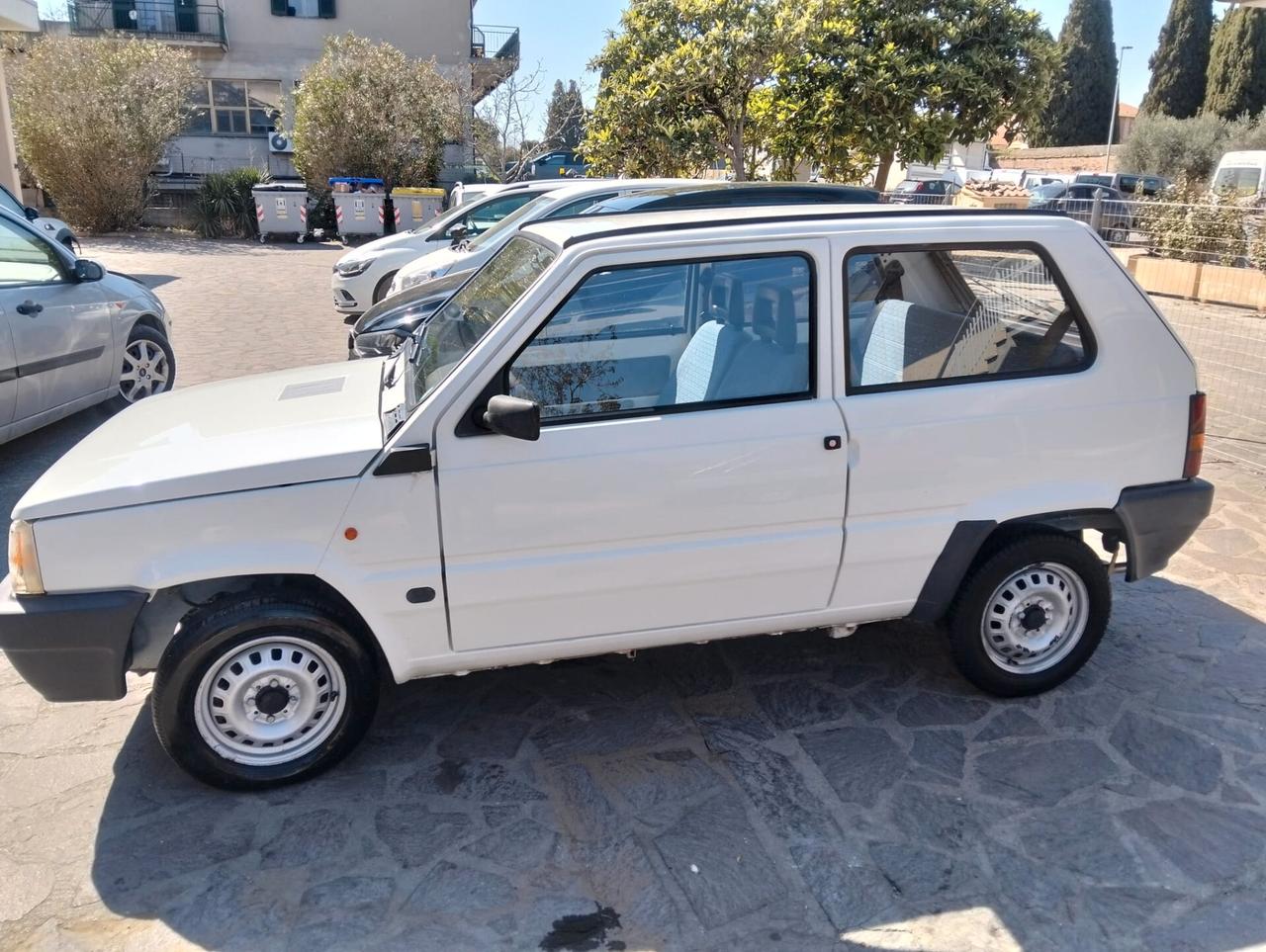 Fiat Panda 1100 i.e. cat Young