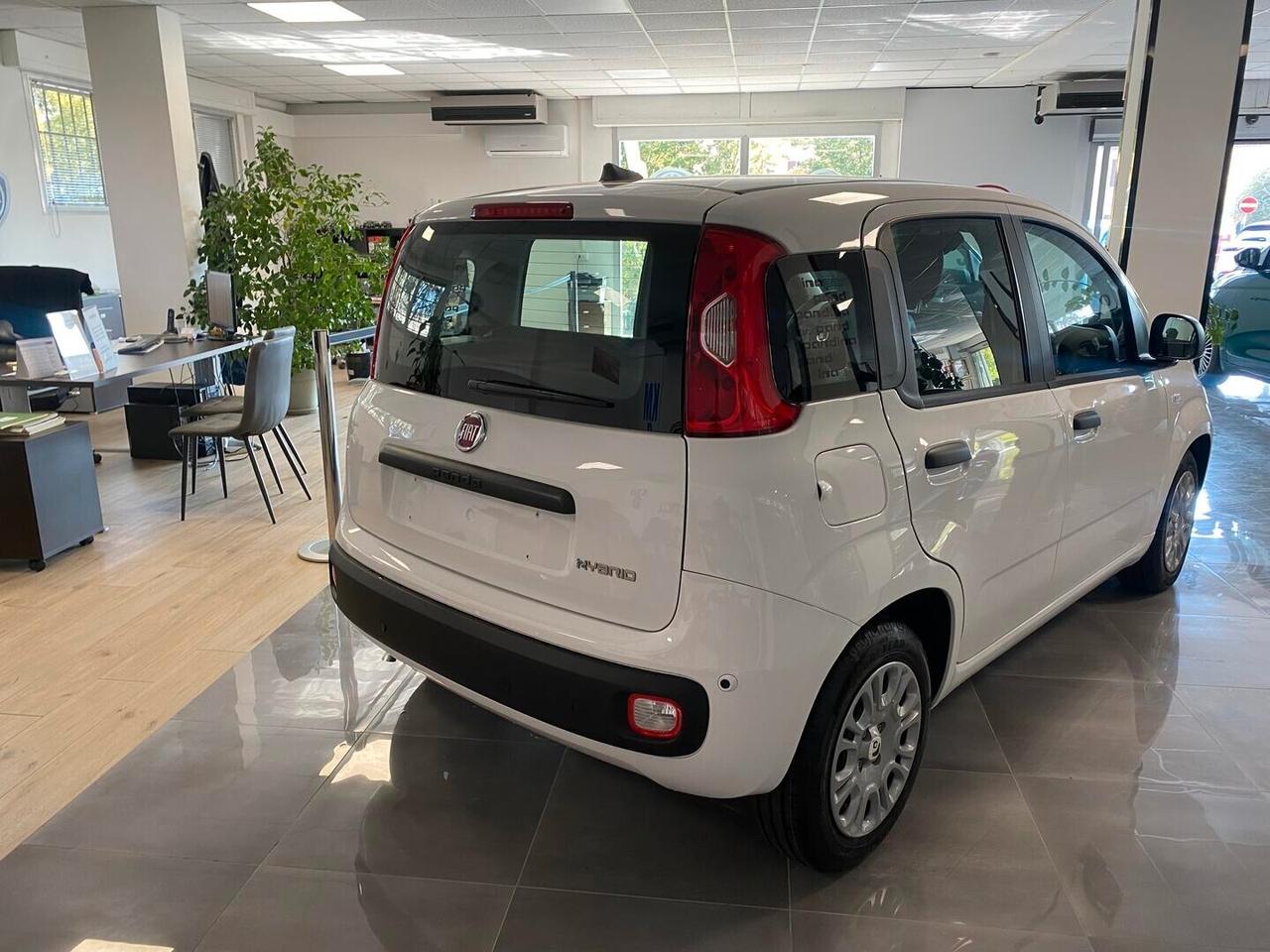 Fiat Panda Icon 1.0 Hybrid 65cv -KMO 2026