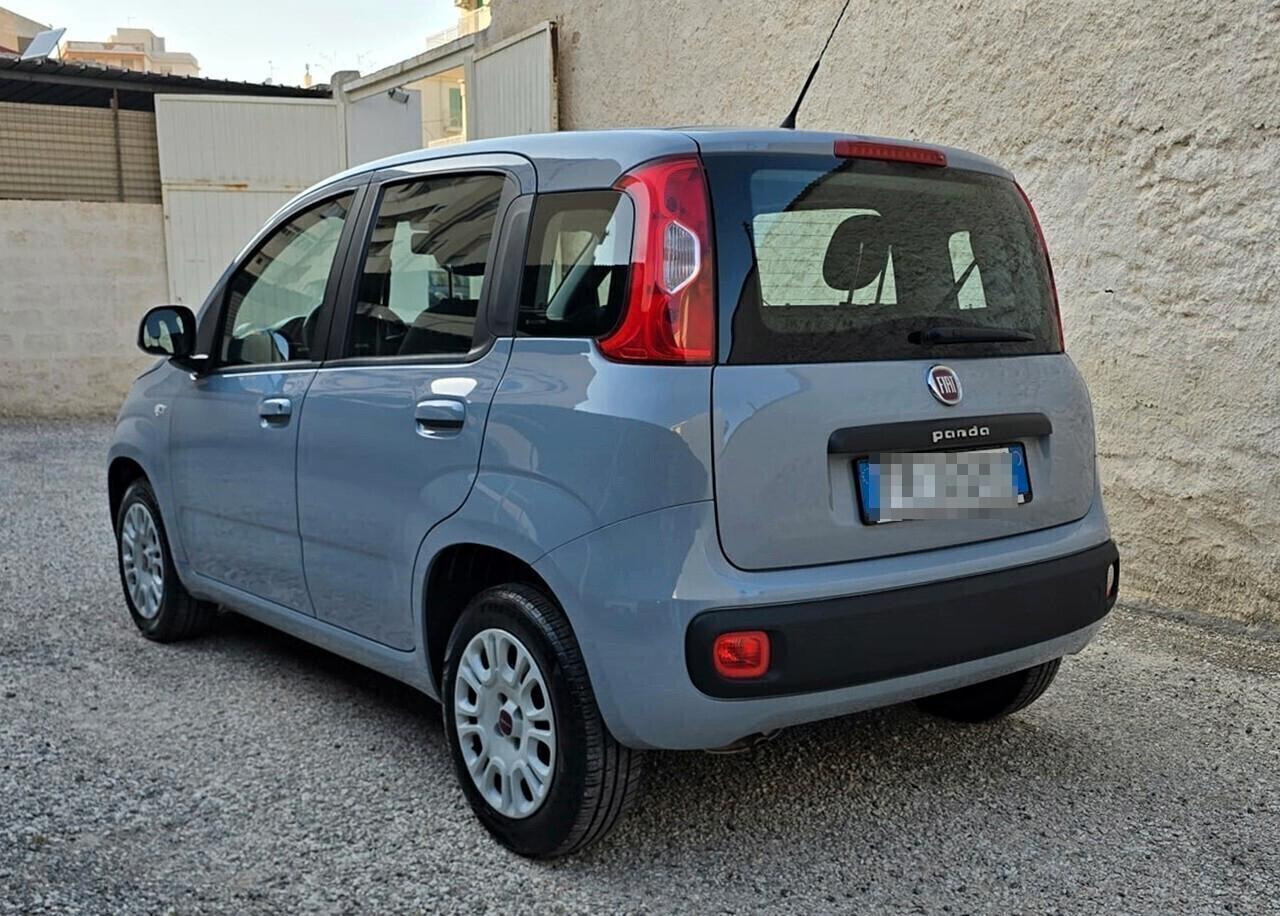 Fiat PANDA Easy 1.2 70CV