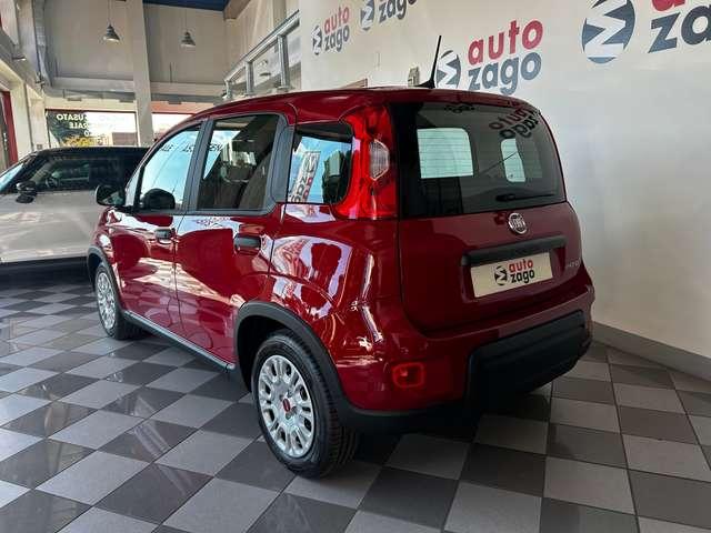 Fiat Panda 1.0 firefly Hybrid S&S 70 cv