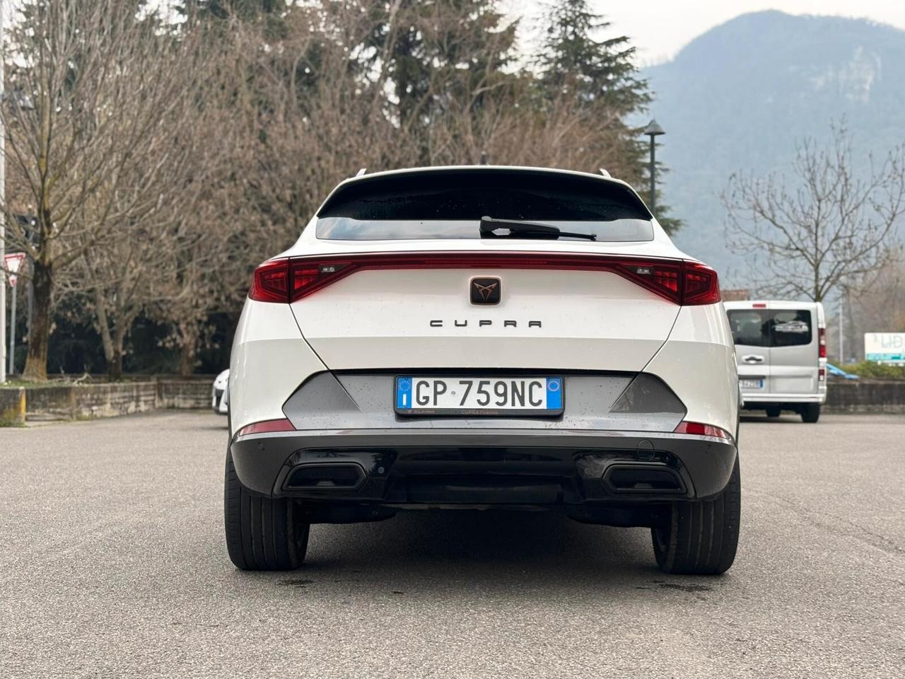 Cupra Formentor 2.0 TDI 4Drive DSG