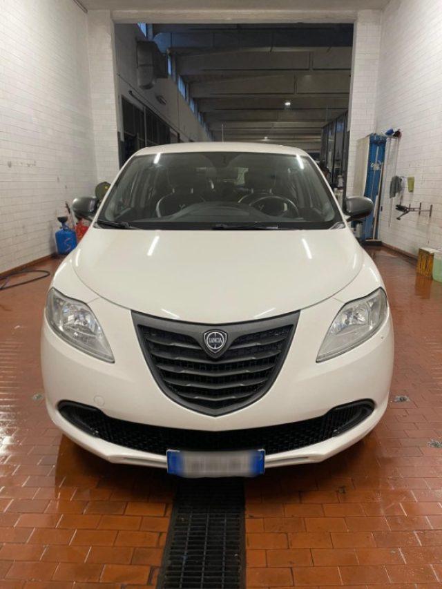 LANCIA Ypsilon 1.2 69 CV 5 porte Elefantino