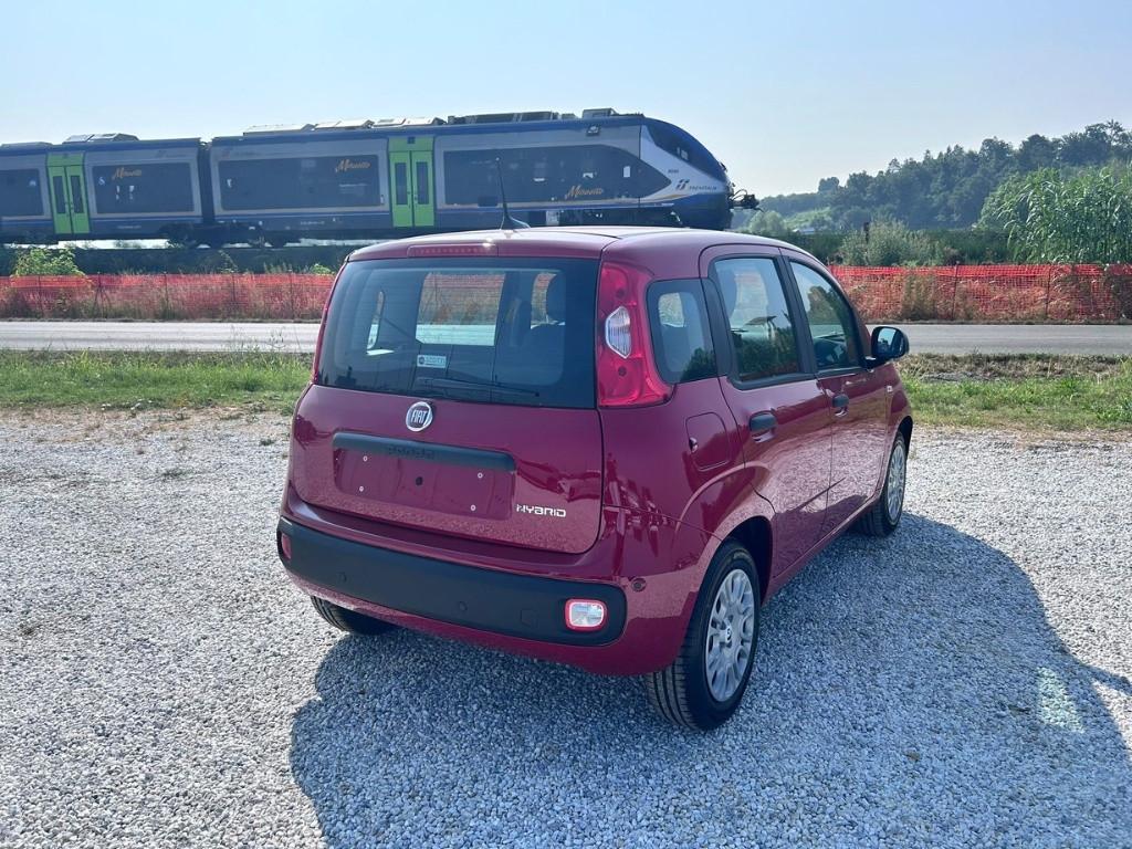 FIAT Panda My25 1.0 70cv Hybrid Panda