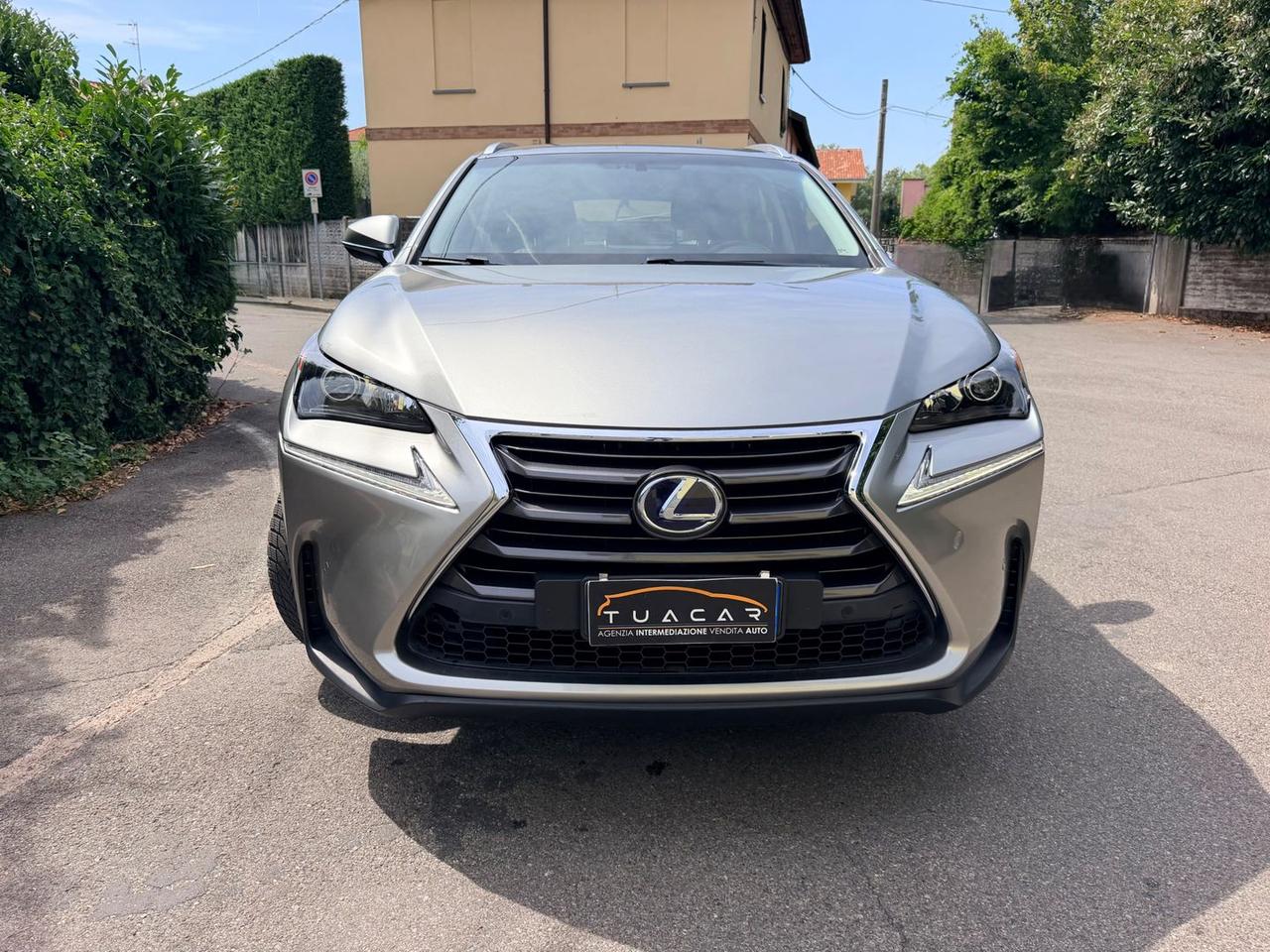 Lexus NX 300h Executive NX 300h HEV #11618