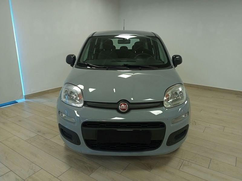 FIAT Panda 3ª serie 1.2 Easy