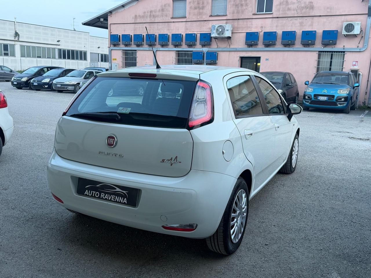 Fiat Punto 1.3 MJT 5P 75 CV Neopatentati 2014