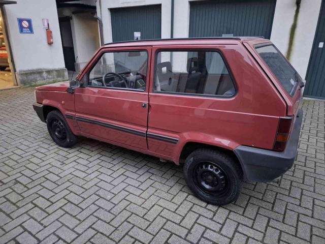 FIAT Panda 1ª serie 900 i.e. cat Young