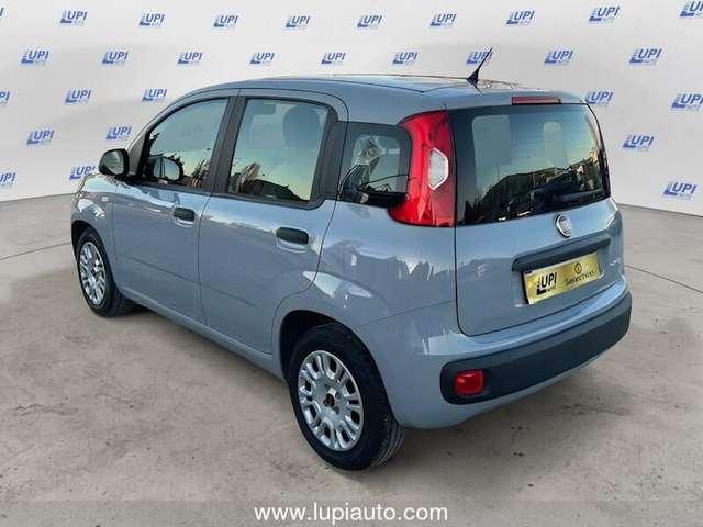 Fiat Panda 1.0 firefly hybrid City Life s&s 70cv