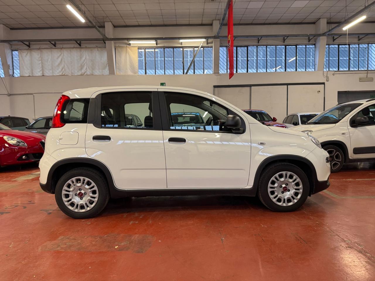 Fiat Panda 1.0 FireFly S&S Hybrid City Life Prezzo senza vincoli
