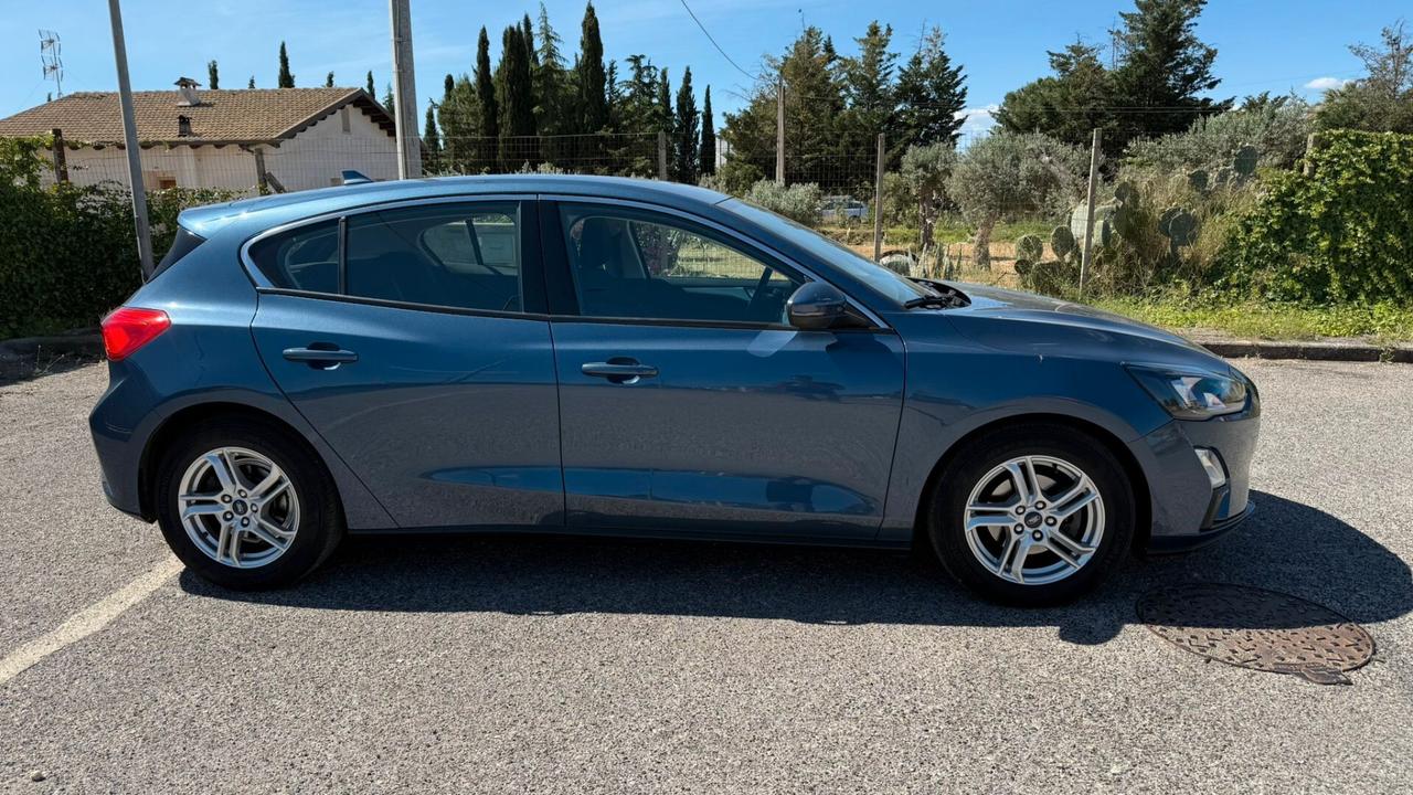 Ford Focus 1.5 EcoBlue 95 CV 5p. Business